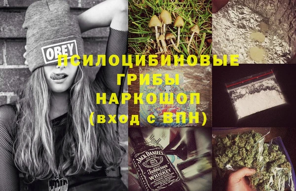 каннабис Новокубанск
