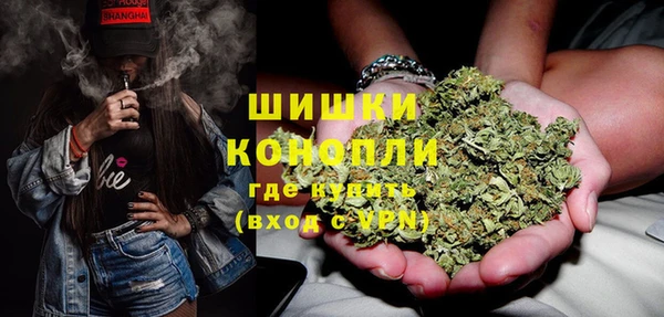соль ск Пестово