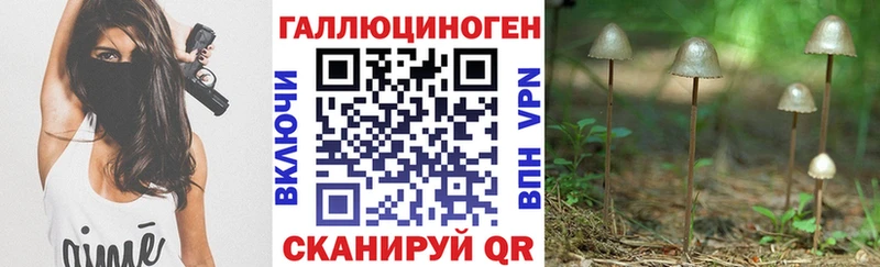 купить закладку  Рыльск  Галлюциногенные грибы GOLDEN TEACHER 